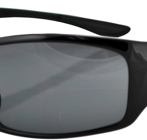 ZAN HEADGEAR South Dakota Sunglasses - Shiny Black - Smoke EZSD01