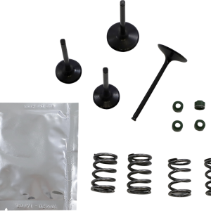 WISECO Valve Kit SVKB3406