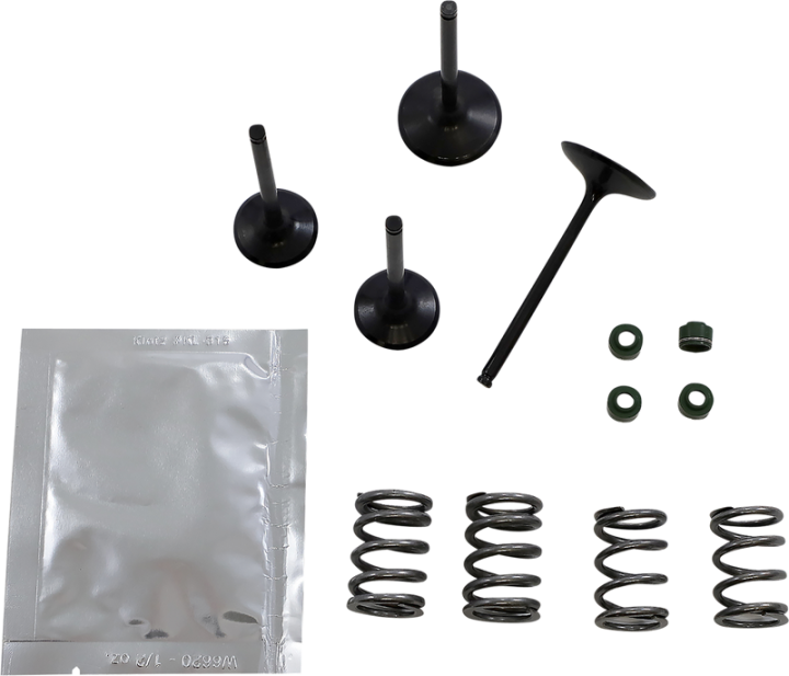 WISECO Valve Kit SVKB3406