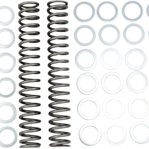 RACE TECH Fork Springs - 1.20 kg/mm FRSP S3825120