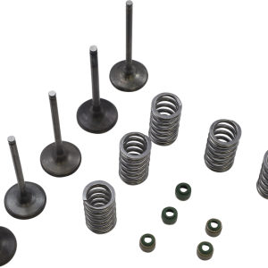 WISECO Valve Kit SVKB2424