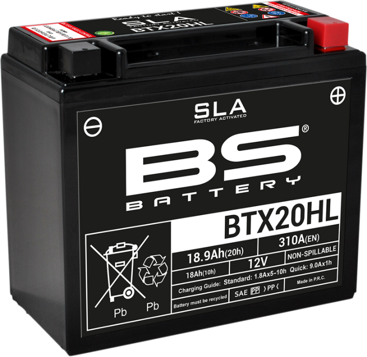 BS BATTERY Battery - BTX20HL (YTX) 300689