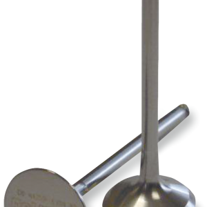 DEL WEST Exhaust Valve DWLTR4501EV11HF