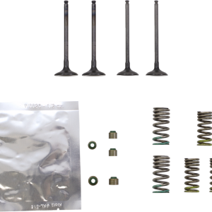 WISECO Valve Kit SVKB2402