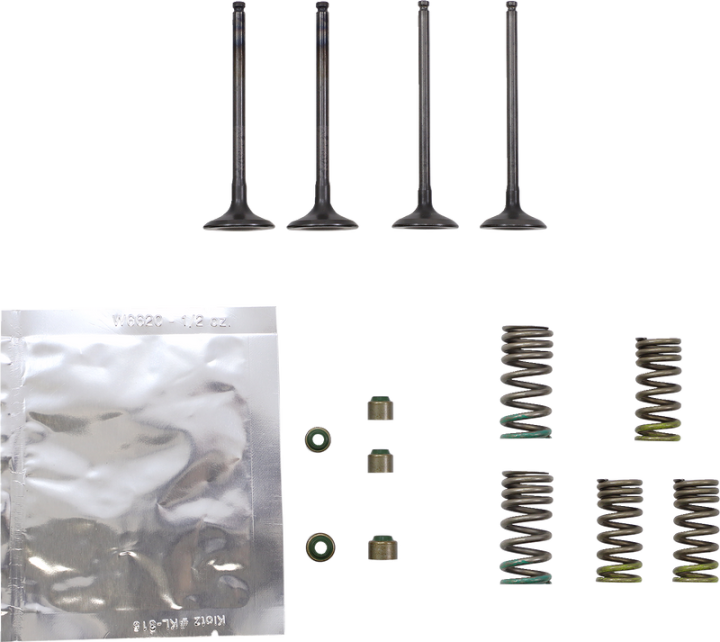 WISECO Valve Kit SVKB2402