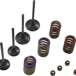 WISECO Valve Kit SVKB4336