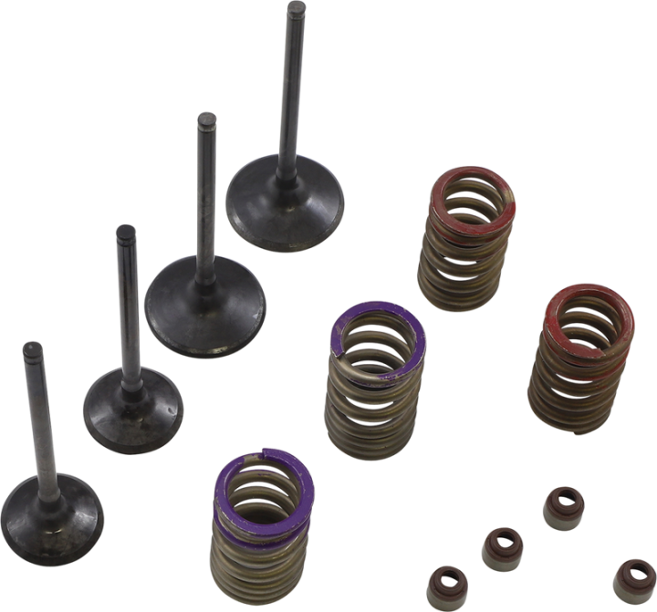 WISECO Valve Kit SVKB4336