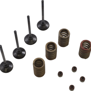 WISECO Valve Kit SVKB4335