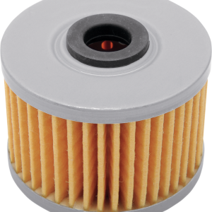 FRAM Oil Filter - Honda/Kawasaki CH6015