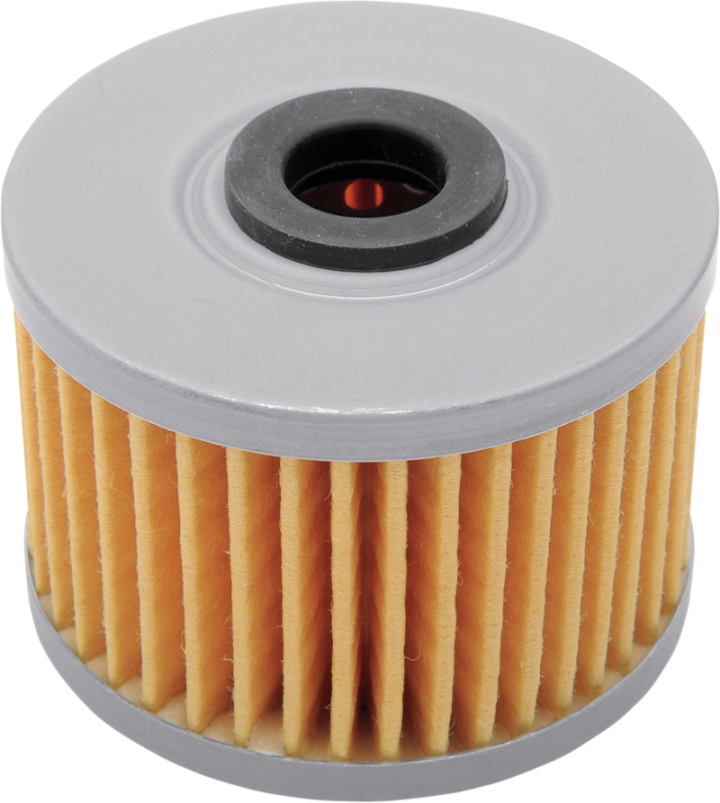 FRAM Oil Filter - Honda/Kawasaki CH6015