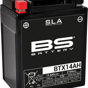 BS BATTERY Battery - BTX14AH (YTX) 300758