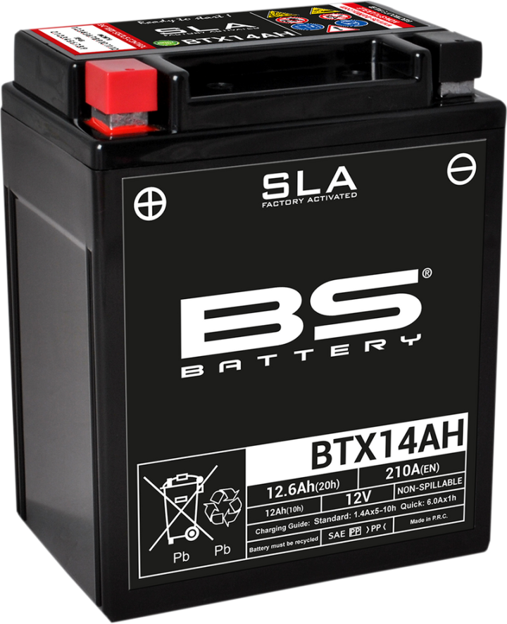 BS BATTERY Battery - BTX14AH (YTX) 300758