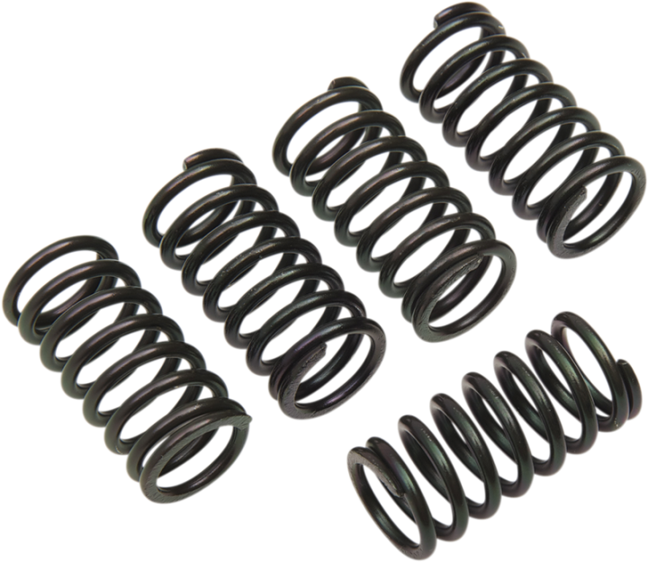 BARNETT Clutch Spring Set 501-30-05003