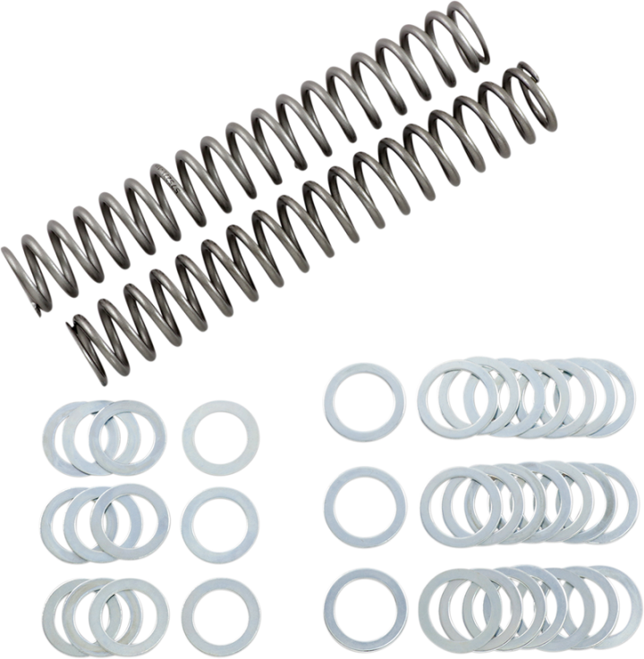 RACE TECH Fork Springs - 1.10 kg/mm FRSP S3825110