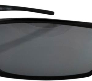 ZAN HEADGEAR Utah Sunglasses - Shiny Black - Smoke EZUT01