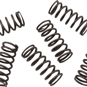 KG POWERSPORTS Clutch Spring Set KGS-809