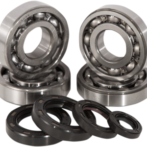 Hot Rods Crank Bearings K002