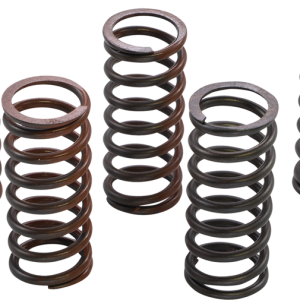 KG POWERSPORTS Clutch Spring Set KGS-905