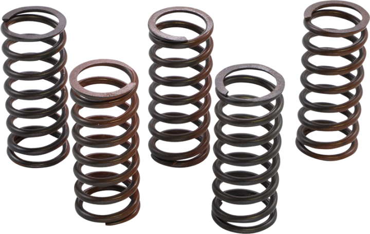 KG POWERSPORTS Clutch Spring Set KGS-905