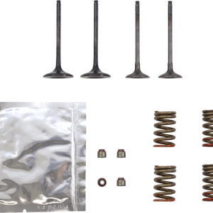 WISECO Valve Kit SVKB4341