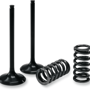 PROX Valve and Spring Kit 28.SES3406-1