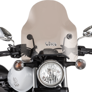 SLIPSTREAMER Windshield - Tint S-09-T