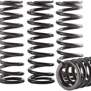 HINSON RACING Clutch Spring Kit - CRF250R/RX CS189-5-0613