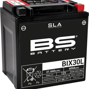 BS BATTERY Battery - BIX30L (YIX) 300631