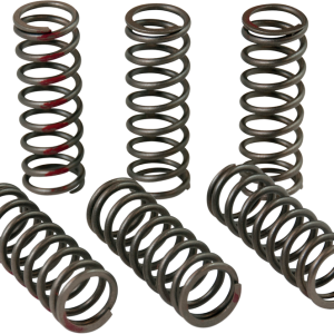 PRO CIRCUIT Clutch Springs CSH13450-CS