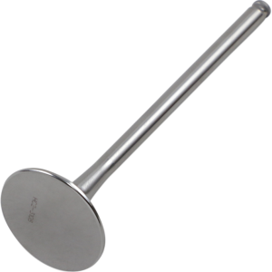 DEL WEST Exhaust Valve DWCRF250REV10ND