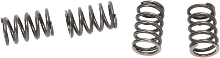BBR MOTORSPORTS HD Clutch Springs - DRZ/KLX110 410-KLX-1105