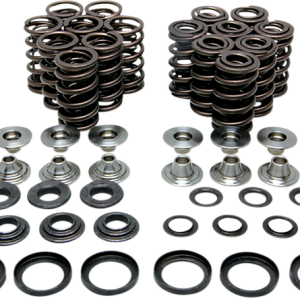 KIBBLEWHITE Valve Spring Kit 80-80650