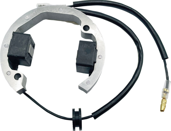 RICK'S MOTORSPORT ELECTRIC Stator - Husqvarna/KTM SX 50 210093