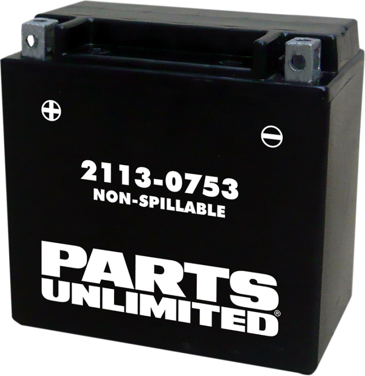 Parts Unlimited Agm Battery - Ytx14 Ctx14