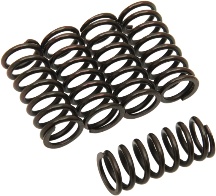BARNETT Clutch Springs 501-50-05042