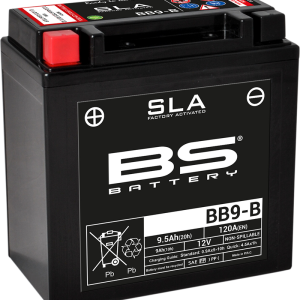 BS BATTERY Battery - BB9-B (YB) 300675