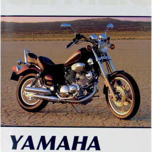 CLYMER Manual - Yamaha Viragos CM39510