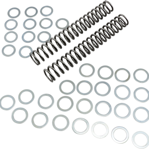 RACE TECH Fork Springs - 1.00 kg/mm FRSP S3825100