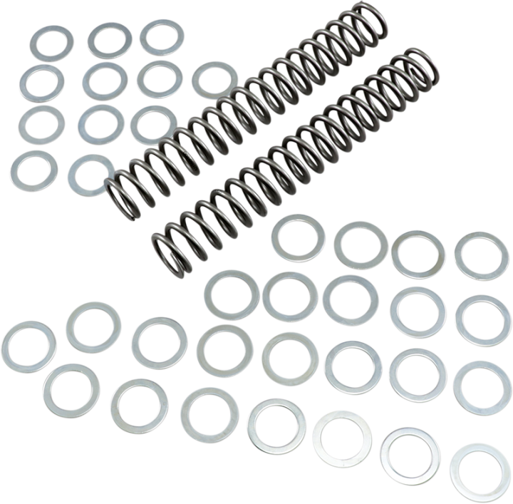 RACE TECH Fork Springs - 1.00 kg/mm FRSP S3825100