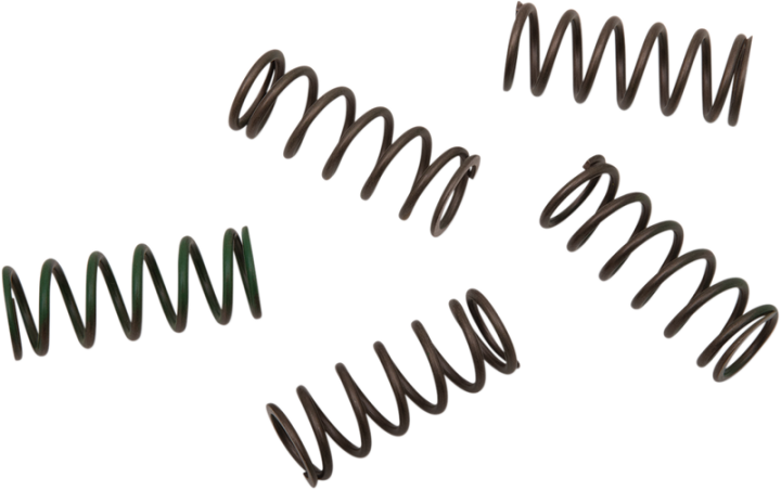 HINSON RACING Clutch Spring Kit CS294-5-0109