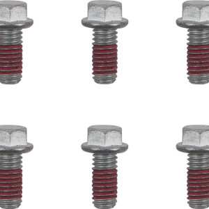 MOTO-MASTER Bolts - Rotor - M6 x 13 12019-PU